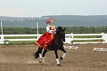 Грация и сила воли. Фестиваль конного спорта прошел под Иркутском