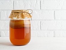 Исследование: чайный гриб способен привести в норму уровень сахара в крови