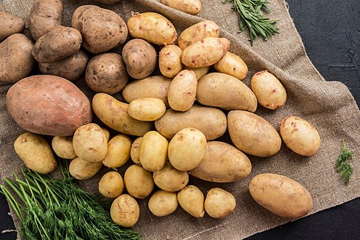 Новосибирские аграрии объяснили подорожание картофеля на 33% за месяц