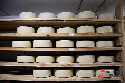 В Новом Уренгое предприниматель продавал санкционные сыры