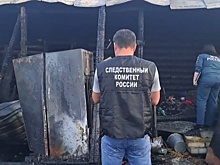 СК расследует гибель ребенка и мужчины на пожаре в Нижегородской области