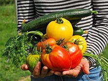 Защищаем поджелудочную: какие продукты выбрать и от чего отказаться — без тяжелых диет