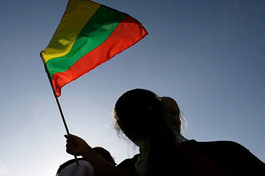 Россиянина с вымпелом ПВО РФ в кабине фуры не впустили в Литву