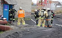 Пожар и сибирская язва случились в Доволенском районе