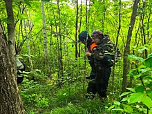 В Хабаровском крае спасли двух пенсионерок, заблудившихся в лесу
