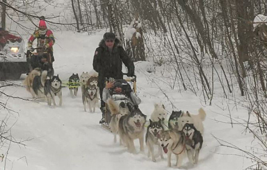 Участники проекта "Поехали!" отправились в деревню ездовых собак в Ставропольском районе