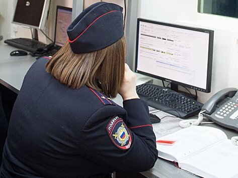 МВД объявило в розыск координатора движения "Весна" и экс-сотрудника ФБК