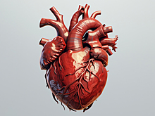 Кардиологи раскрыли 7 привычек, которые сохраняют здоровье сердца