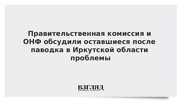 Правительственная комиссия и ОНФ обсудили оставшиеся после паводка в Иркутской области проблемы