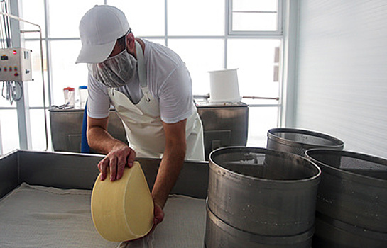 Эксперт: Алтаю необходимы новые технологии для сохранения позиций в производстве сыров