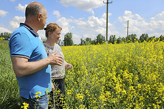 Зона рискованного земледелия
