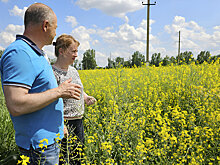 Зона рискованного земледелия
