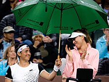 Джокович, Хуркач, Жабер, Бадоса вошли в исполнительный комитет организации игроков PTPA