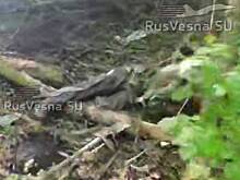 В России показали на видео последствия «бойни у Теткино»