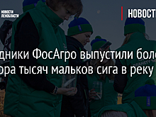 Сотрудники ФосАгро выпустили более полутора тысяч мальков сига в реку Сясь