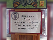 "Руки просовывать можно"