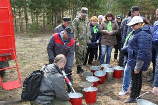 В Алтайском крае стартует ежегодная акция «Лес Победы»