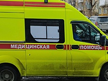 Обрушение на стройке птицефабрики под Новосибирском: трое пострадавших