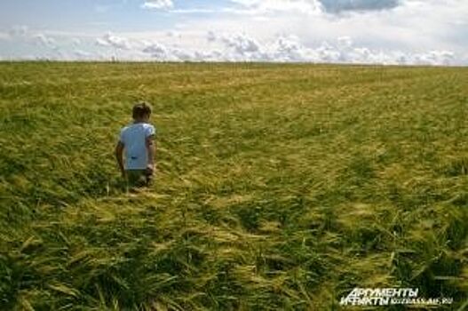 Вдали от родителей или на деревню к бабушке? Планируем детский летний отдых