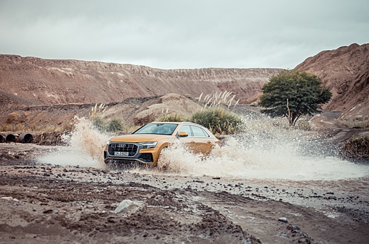 В России появился дизельный Audi Q8