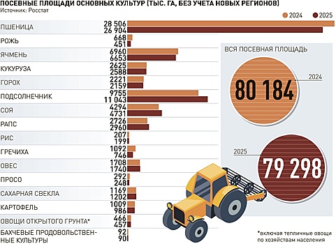 В России по результатам весеннего сева зафиксировано падение посевных площадей
