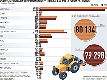В России по результатам весеннего сева зафиксировано падение посевных площадей