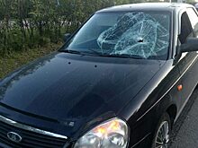 В Сургуте водитель Lada сбил на «зебре» 14-летнего подростка