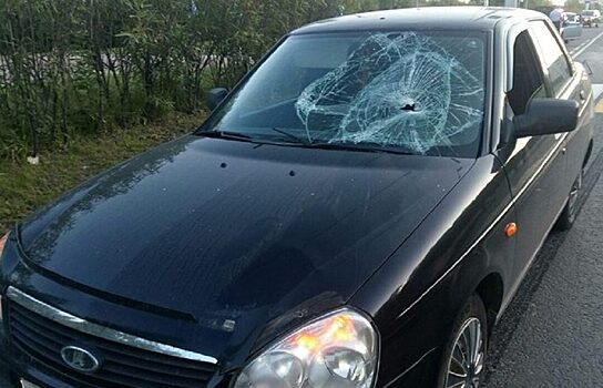 В Сургуте водитель Lada сбил на «зебре» 14-летнего подростка