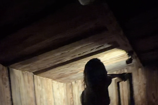 Девушка Дурова в бикини опубликовала видео с подругой из бани