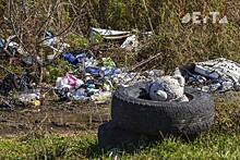 Спутник Владивостока увяз в мусоре, фекалиях и бурьяне