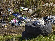 Находка вместе с прокуратурой почти полгода пытаются победить стихийную свалку
