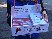 В Нижегородской области стартовала благотворительная акция «Красная гвоздика»