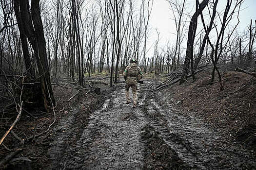 WP: ЕС предложил мирный план без ограничений для украинской армии