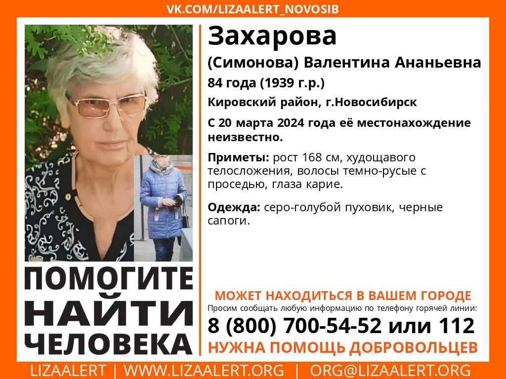 Кузбасские волонтеры присоединились к поискам пропавшей в Новосибирске пенсионерки