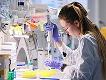 В России запустят центр производства стволовых клеток из кожи