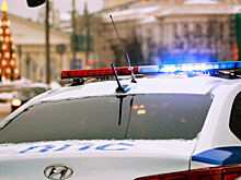 Водителей такси и каршеринга начали проверять в Москве