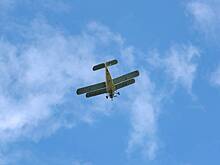 МАК опроверг предварительные итоги крушения Ан-24 в Приамурье