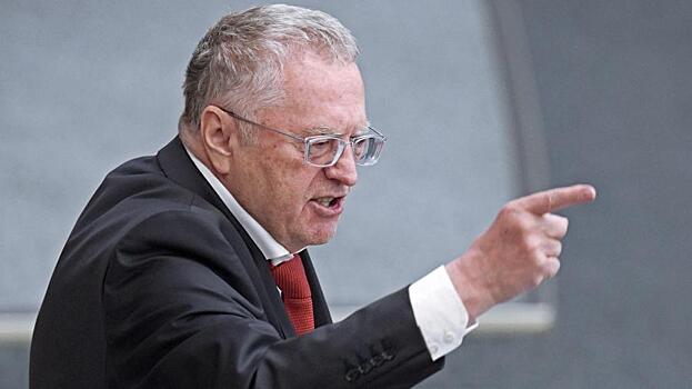 Жириновский предложил изменить закон о декларациях о доходов депутатов