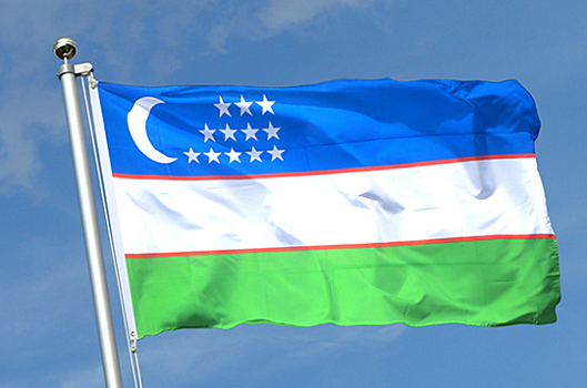 Миссия СНГ признала выборы в парламент Узбекистана демократичными