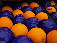 Заразные апельсины решили не уничтожать, а пустить в продажу после обработки на Кубани