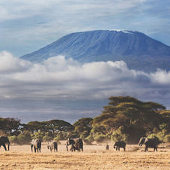 7 живописных маршрутов для восхождения на Килиманджаро
