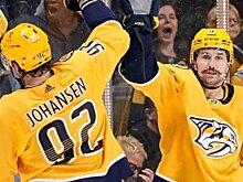 Два шведских игрока (Элиас Линдхольм и Форсберг) забросили по 40 шайб в сезоне НХЛ. Это 3-й случай в истории