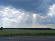 Синоптики рассказали о погоде в Пензенской области 19 мая