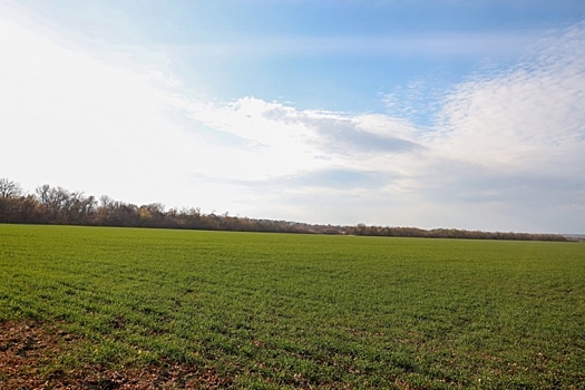 В Волгоградской области становится больше обрабатываемых сельхозземель