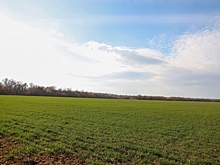 В Волгоградской области становится больше обрабатываемых сельхозземель