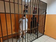 В Сочи арестовали "коня" и "осла", которые вымогали деньги у туристов