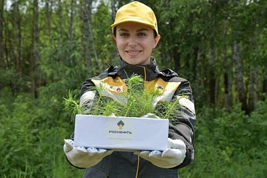 Ачинский НПЗ помог восстановлению лесов Красноярского края