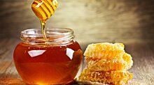 Ученые доказали пользу меда для здоровья
