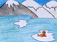 Байкал и нерпы. Первые рисунки конкурса экоплаката «Чистое Прибайкалье»