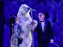 «Белые медведи на льду». В омском цирке представили уникальный аттракцион